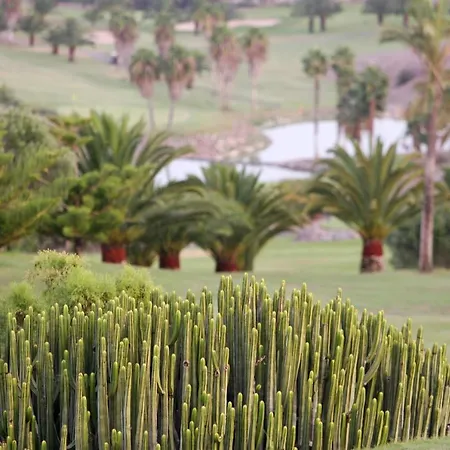 别墅 Tropical By Villagrancanaria